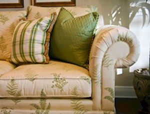 Upholstery Cleaning &amp; Carpet Cleaning in Towson &amp; Baltimore, MD