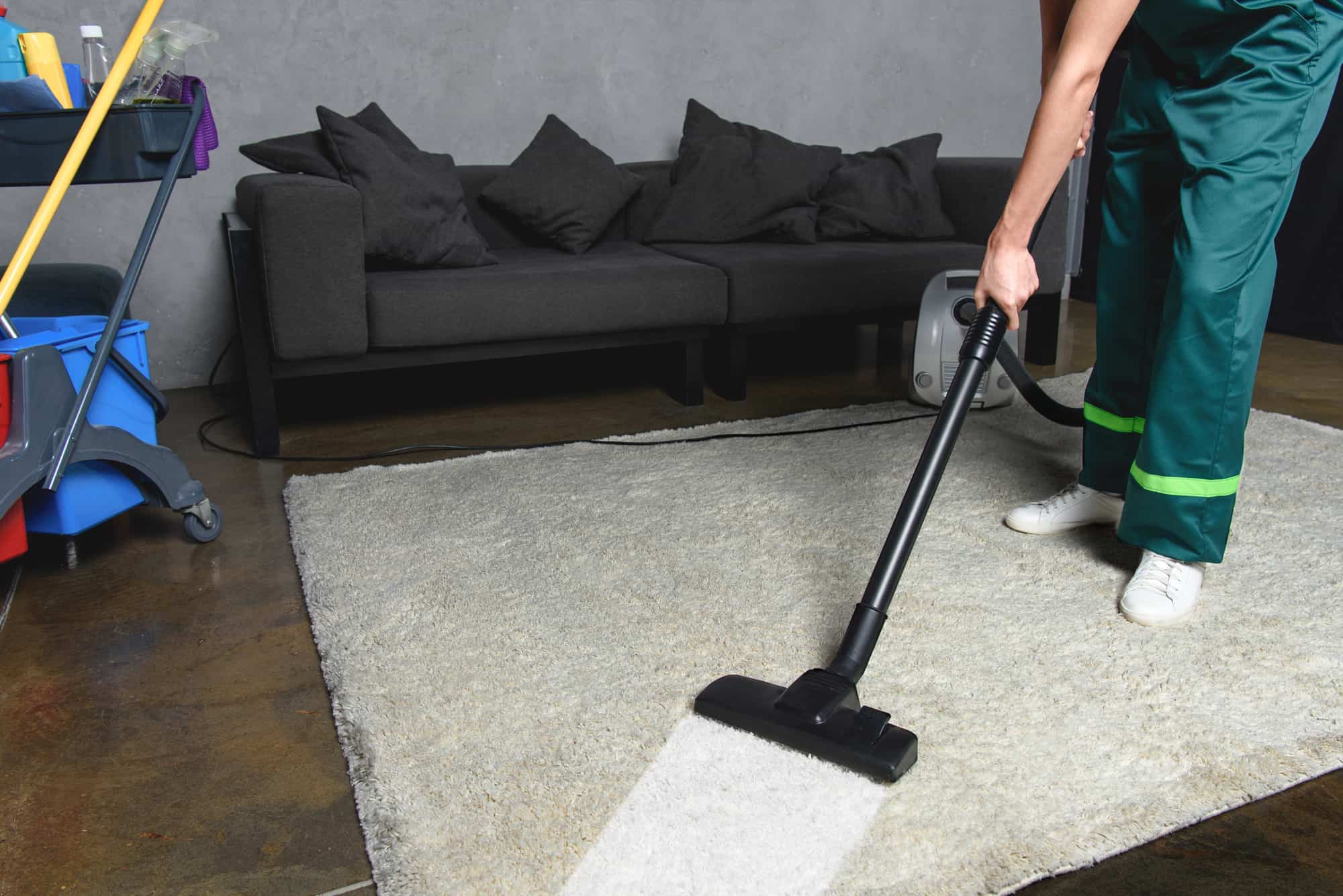 Tips and Ideas for Carpet Cleaning Extreme Carpet Cleaning LLC